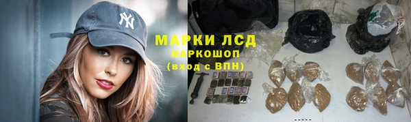 PSILOCYBIN Волосово