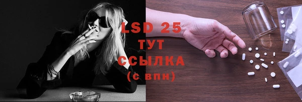 PSILOCYBIN Волосово