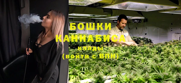PSILOCYBIN Волосово