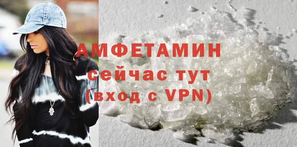 PSILOCYBIN Волосово