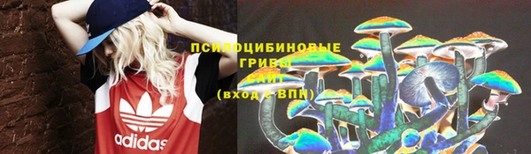 герыч Бронницы