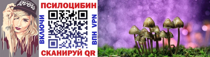 Псилоцибиновые грибы мухоморы  маркетплейс клад  Норильск  MEGA онион 